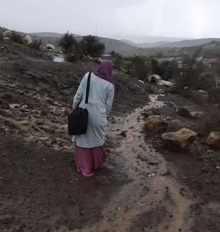 المدرسة بين سندان الاصلاحات ومطرقة التغريب